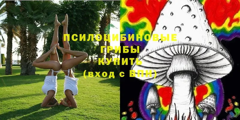 Галлюциногенные грибы Magic Shrooms  Санкт-Петербург 